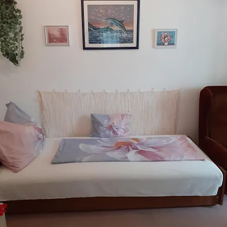 Homestay Marika Vendeghaz