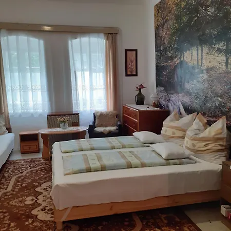 Homestay Marika Vendeghaz